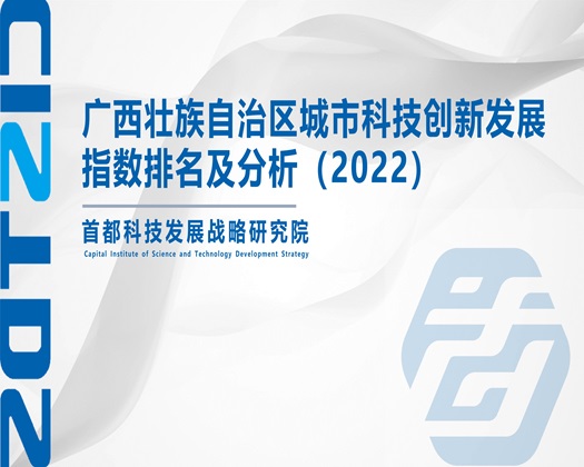 吸奶又摸逼资源站【成果发布】广西壮族自治区城市科技创新发展指数排名及分析（2022）